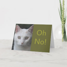 白い猫の写真ユーモアのあるは良いカード カード
