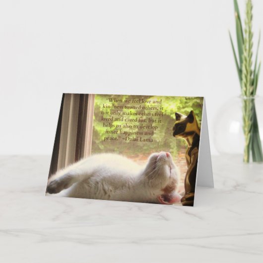白い猫及びダライ・ラマの親切さの引用文 カード (正面)