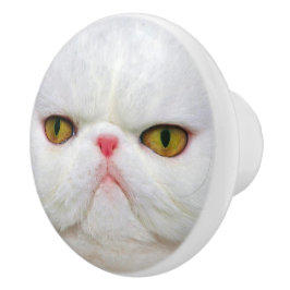 白い猫 セラミックノブ