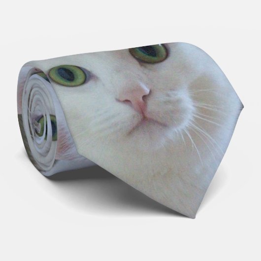 白い猫 ネクタイ (ロール)