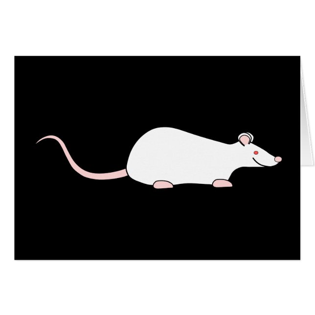 白い白子ペットラット (正面横)