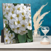 白い白熱［赤熱］光を放つ花 フォトプラーク (側面)