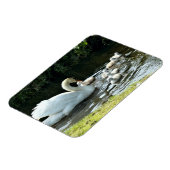 白い白鳥と雛 マグネット (左側)