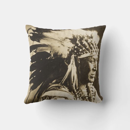 白い白鳥のスー族の責任者のヴィンテージ クッション (裏面)