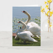 白い白鳥のメッセージカード カード (黄色い花)