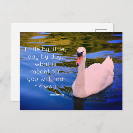 白い白鳥の写真とやる気を起こさせる引用文 ポストカード (正面/裏面)