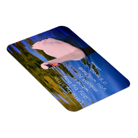 白い白鳥の写真とやる気を起こさせる引用文 マグネット (右側)