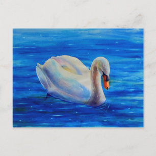 白い白鳥の絵画水色の水鳥、鳥 ポストカード