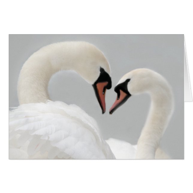 白い白鳥カード (正面横)