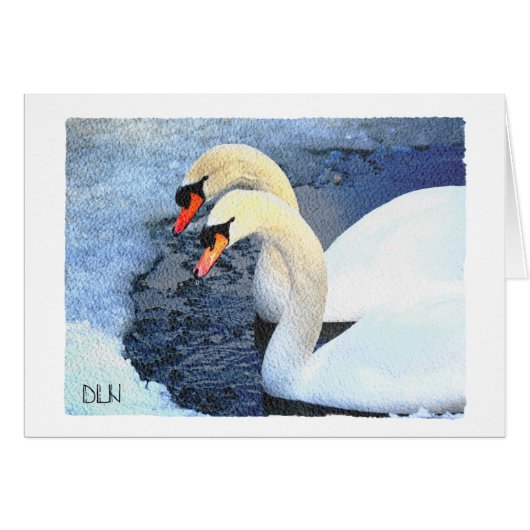 白い白鳥2羽/野生生物/水彩ルック (正面横)