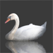 白い白鳥 シール (正面)