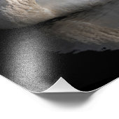 白い白鳥 フォトプリント            (角)