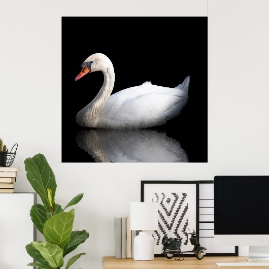 白い白鳥 ポスター (ホームオフィス)