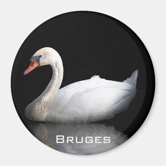 白い白鳥 マグネット (正面)