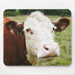 白い直面された肉用牛 マウスパッド