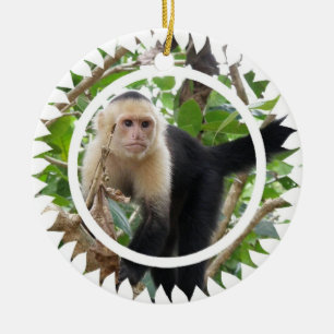 白い直面されたCapuchin猿のオーナメント セラミックオーナメント