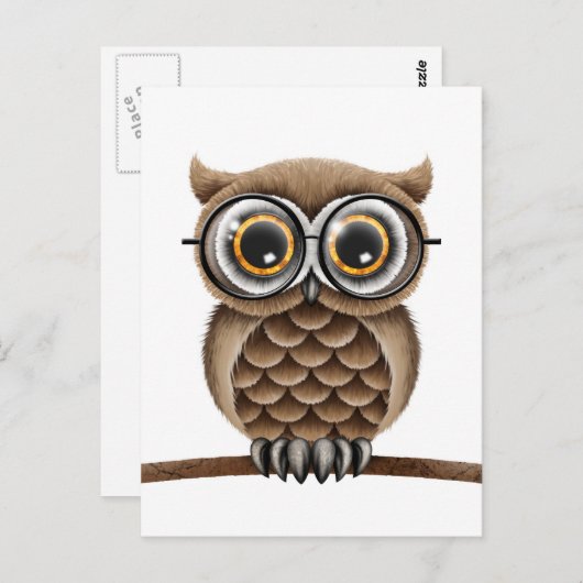 白い眼鏡の可愛読いフワフワ茶色フクロウ ポストカード (正面/裏面)