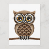 白い眼鏡の可愛読いフワフワ茶色フクロウ ポストカード (正面)