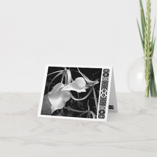 白い矢印 カード (正面)