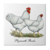 白い石の鶏 タイル (正面)