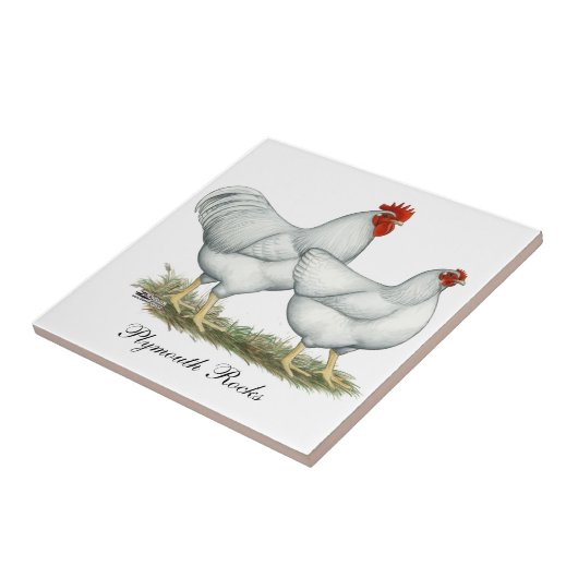 白い石の鶏 タイル (側面)