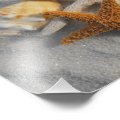 白い砂の上にミックスシーシェルとヒトデのビーチ フォトプリント (角)