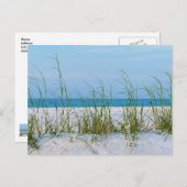 白い砂はがき中の海の麦のライン ポストカード (正面/裏面)