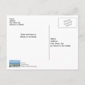 白い砂浜のシーオーツのライン　感謝のポストカード ポストカード (裏面)