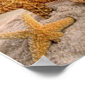 白い砂浜の海のビーチ ポスター (角)