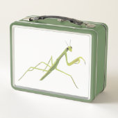 白い祈背景の弁当箱のマンティス メタルランチボックス (裏面)