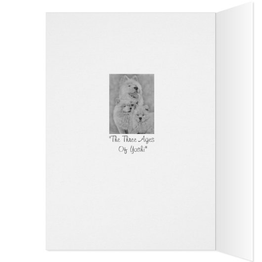 白い秋田の長いコート犬のポートレートのオリジナルの芸術 (内側 (左))