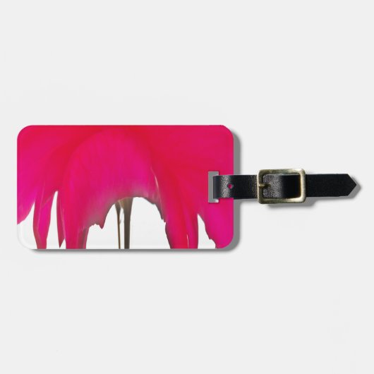 白い空の下にシックで素晴らしい赤いバラ。 ラゲッジタグ (正面横)