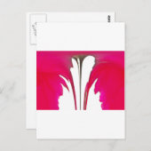 白い空の下のシックで驚くべき赤のバラ.png ポストカード (正面/裏面)