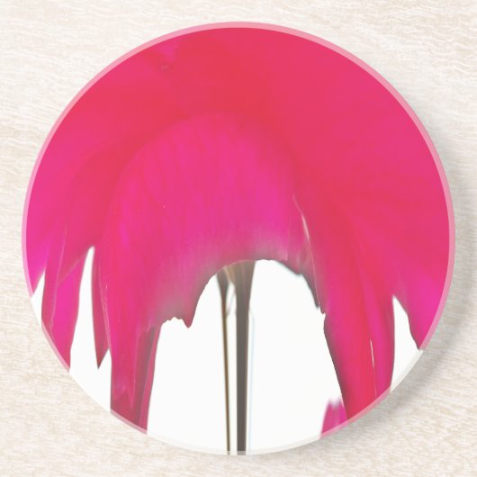 白い空の下の美しい驚くべき赤のバラ コースター (正面)