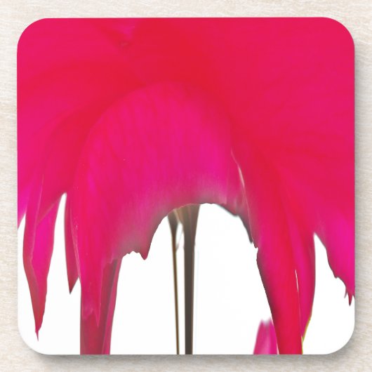 白い空の下の美しい驚くべき赤のバラ コースター (正面)