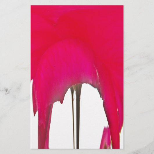 白い空の下の美しい驚くべき赤のバラ 便箋 (正面)