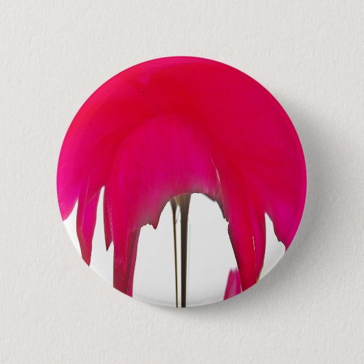 白い空の下の美しい驚くべき赤のバラ 缶バッジ (正面)