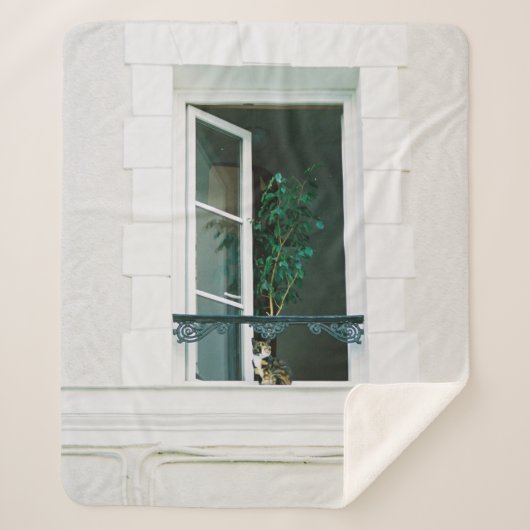 白い窓に緑の植物 シェルパブランケット (正面)