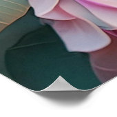 白い紋付き赤面テールジェイファンタジーバード ポスター (角)