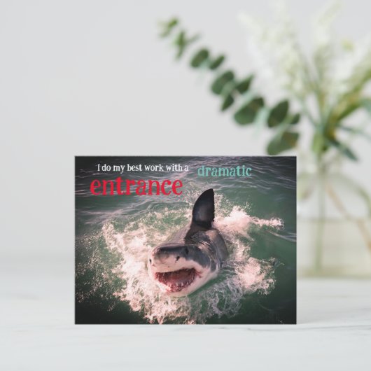 白い素晴らしサメの漂流 シーズンポストカード (スタンド正面)