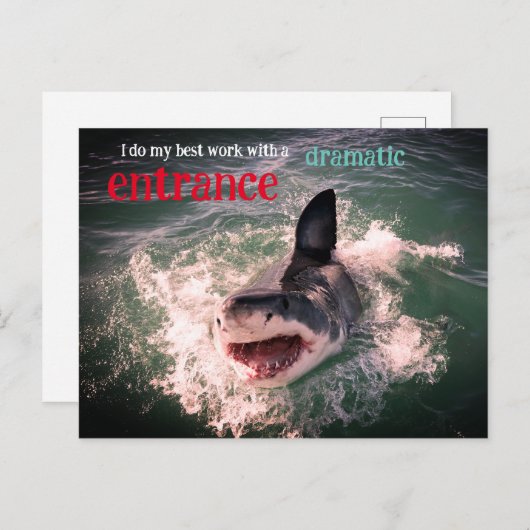 白い素晴らしサメの漂流 シーズンポストカード (正面/裏面)