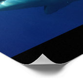 白い素晴らしサメの魚の水サーファー泳ぐヒレ灰色 ポスター (角)