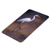 白い素晴らし白鷺 マグネット (左側)