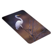 白い素晴らし白鷺 マグネット (右側)