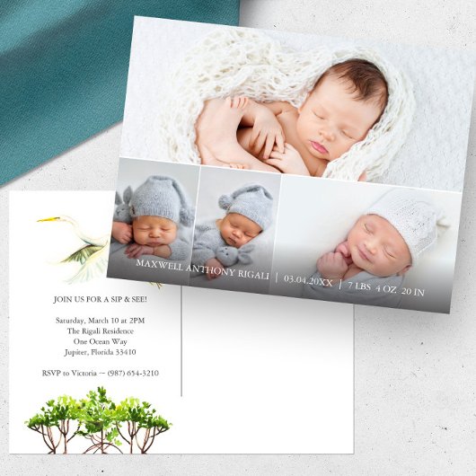 白い素晴らしHeron 4写真誕生のお知らせ ポストカード