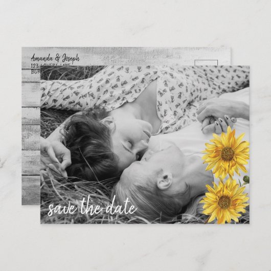 白い素朴木のひまわり日付保存 案内ポストカード (正面/裏面)