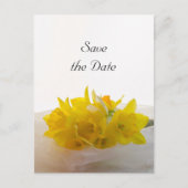 白い結婚式の黄色の水仙の日付を保存 案内ポストカード (正面)