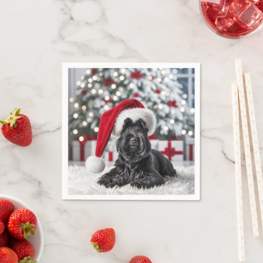 白い絨毯の上のクリスマス・スコットランドのテリア スタンダードカクテルナプキン (インサイチュ)