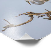 白い緑の着陸が木に フォトプリント            (角)