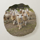 白い羊毛の羊 ラウンドクッション (裏面)